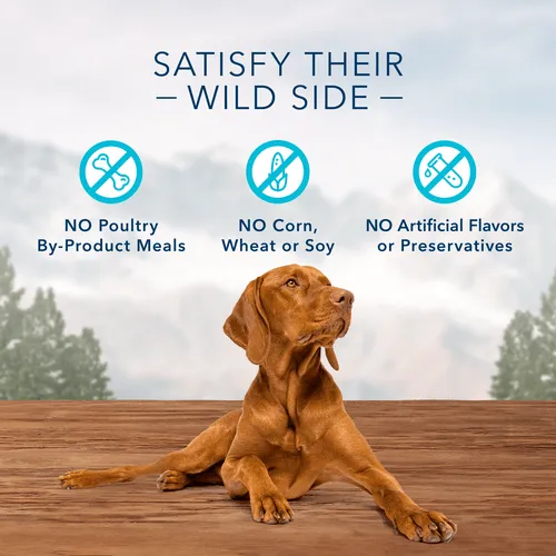 BLUE Wilderness Trail Treats Grain Free Biscuits; Turkey Recipe