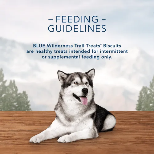 BLUE Wilderness Trail Treats Grain Free Biscuits; Turkey Recipe