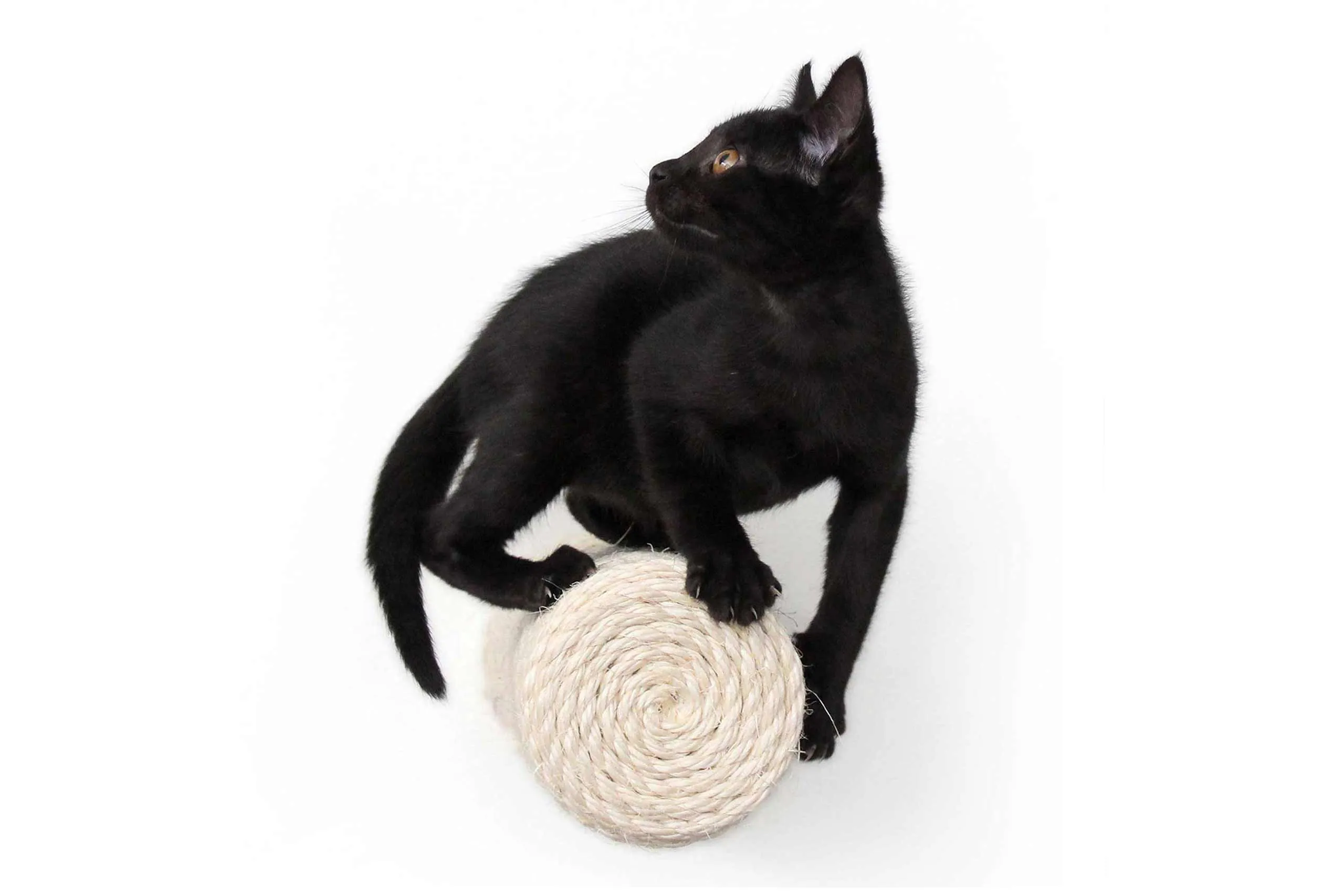 Floating Cat Steps for Wall (Sisal Cat Scratching Post)