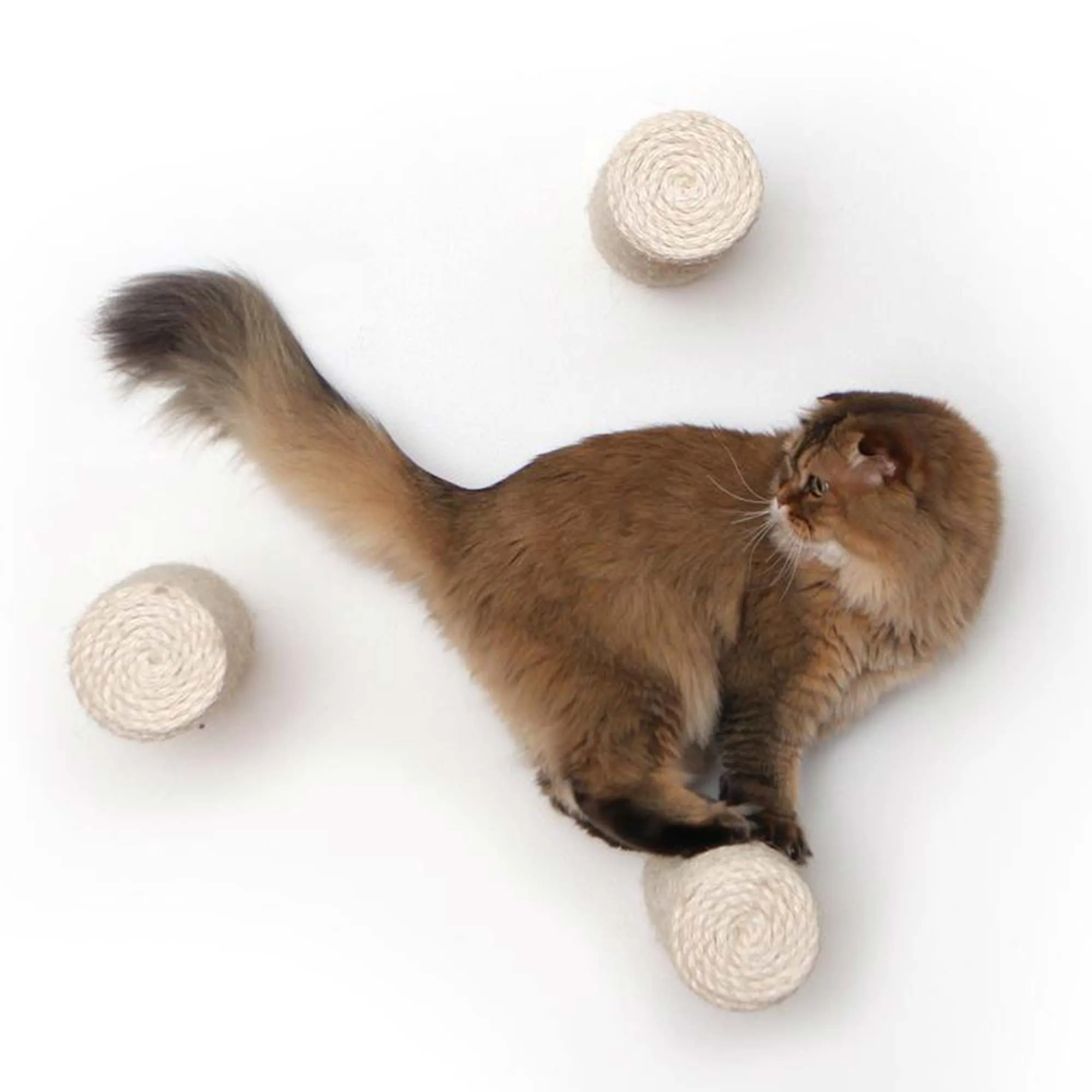 Floating Cat Steps for Wall (Sisal Cat Scratching Post)