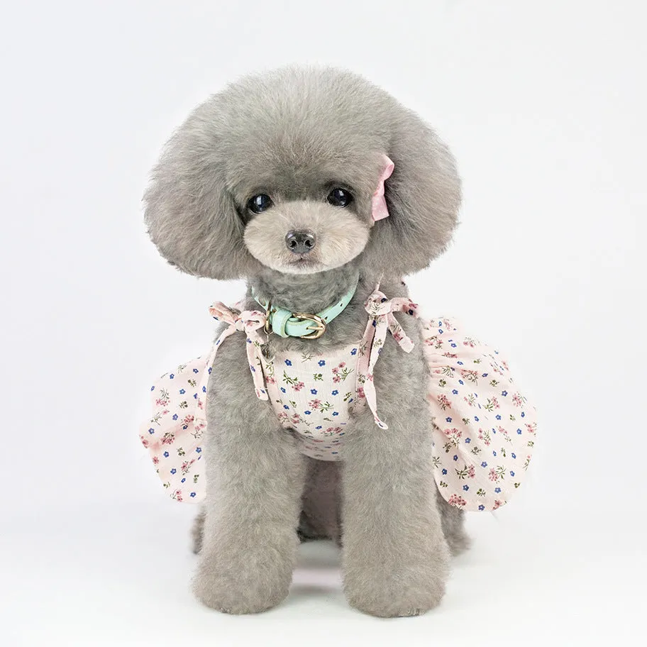 Spring and summer dress small daisy pet clothing